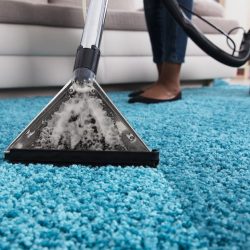 7-Tips-on-How-to-Clean-Your-Carpets-e1567826556127