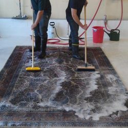 rug-cleaning-tapis-rugs-carpet-891072